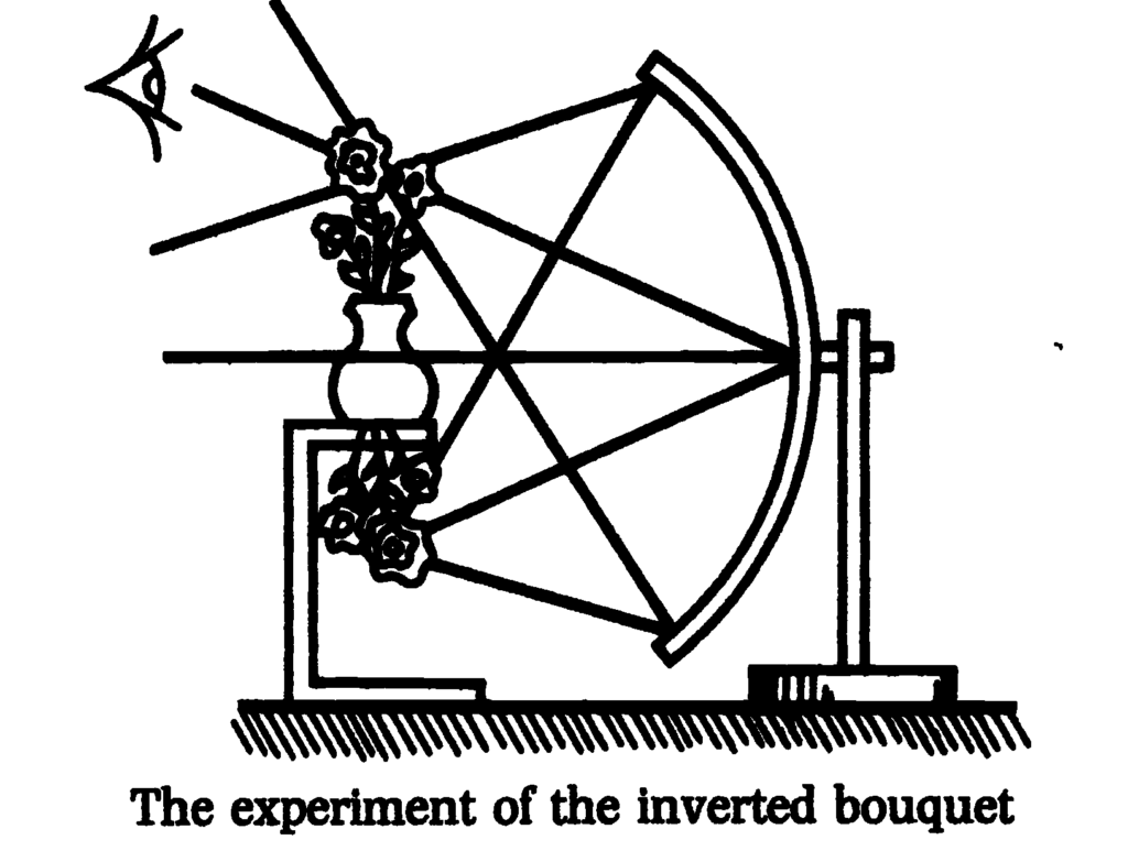 The experiment of the inverted bouquet by Lacan